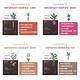 (20入組)innisfree 濟州根莖植萃面膜 product thumbnail 3