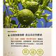 萃綠檸檬果膠代謝酵素(750ml/瓶) product thumbnail 2