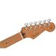『FENDER』Player 系列限量琴款電吉他 Stratocaster Roasted Maple / 公司貨保固 product thumbnail 7