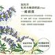 Green Pharmacy 草本肌曜 鼠尾草私密水嫩潔膚露 370ml product thumbnail 3