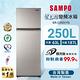 SAMPO聲寶 250公升1級變頻星美滿二門電冰箱SR-C25D(Y9)晶鑽金 product thumbnail 3