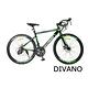 DIVANO D800Z 14速彎把碟煞鋁公路車 product thumbnail 4