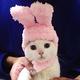 【摩達客寵物】超萌秒變兔兔耳造型寵物帽/貓咪狗狗頭套(粉紅色系)手工縫製 product thumbnail 4