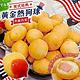 海陸管家-酥脆黃金熱狗球4包(每包25入/約350g) product thumbnail 2