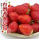 【天天果園】嚴選苗栗大湖香水草莓28-35顆4盒(每盒約400g) product thumbnail 3