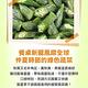 【享吃鮮果】鮮凍秋葵20包組(200g±10%/包) product thumbnail 3