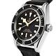 TUDOR 帝舵HERITAGE BLACK BAY 79230N 復古皮帶款-41mm product thumbnail 2