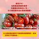 【甜露露】台灣小番茄6盒入(每盒1台斤±10%) product thumbnail 4