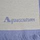 Aquascutum 義大利製經典品牌字母LOGO素雅雙面配色披肩/圍巾(鵝黃/灰) product thumbnail 5