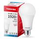 Toshiba東芝 第三代  星光耀16W 高效能LED燈泡 日本設計(白光/自然光/黃光) 1入 product thumbnail 3