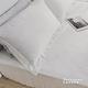 絲薇諾 MIT 60支紗 100%天絲 三件式枕套床包組-雙人加大6尺-月白 product thumbnail 6