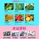 Bellapeel 蓓拉佩爾鳳梨精油脫毛蠟紙10x2pcs/盒10入組 product thumbnail 11