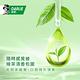 好來 清新綠茶漱口水-無酒精配方500ml x2 product thumbnail 8