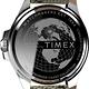 TIMEX 天美時 風格系列 紳士手錶-黑x卡其/43mm product thumbnail 6