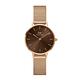 Daniel Wellington DW 手錶 Petite Amber 28mm幻彩琥珀棕米蘭金屬錶 DW00100476 product thumbnail 2