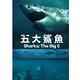 五大鯊魚 DVD product thumbnail 2