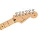 『FENDER』Player 系列限量琴款電吉他 Stratocaster Maple / 公司貨保固 product thumbnail 7