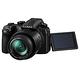 Panasonic LUMIX FZ1000 II (DC-FZ10002)類單眼相機(公司貨) product thumbnail 4