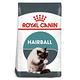 Royal Canin法國皇家 IH34加強化毛成貓飼料 2kg 2包組 product thumbnail 2