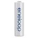 【Panasonic國際牌】eneloop 中階3號充電電池-十顆 product thumbnail 4