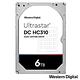 WD Ultrastar DC HC310 6TB 3.5吋企業級硬碟 product thumbnail 2