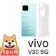 阿柴好物 Vivo V30 5G 防摔氣墊保護殼(精密挖孔版) product thumbnail 2