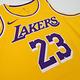 Nike 球衣 NBA Swingman 黃 紫 洛杉磯湖人 LAL 詹姆斯 23 LBJ 運動背心 DN2009-733 product thumbnail 8