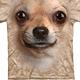 摩達客-美國The Mountain吉娃娃犬臉 兒童版純棉環保短袖T恤 product thumbnail 2