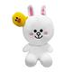 LINE FRIENDS 40公分絨毛玩偶 娃娃 熊大 兔兔 莎莉 product thumbnail 6