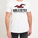 Hollister HCO  短袖 T恤 白色 0965 product thumbnail 2