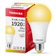 Toshiba東芝 第三代  星光耀16W 高效能LED燈泡 日本設計(白光/自然光/黃光) 1入 product thumbnail 7