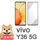 阿柴好物 Vivo Y36 5G 滿版全膠玻璃貼-紳士黑 product thumbnail 2