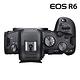 Canon EOS R6 RF 24-105mm F4L IS USM (公司貨) product thumbnail 6
