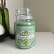 YANKEE CANDLE 香氛蠟燭 emerald ivy 1710 product thumbnail 2