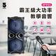 【ifive】重量級移動式擴音設備 if-SP955 product thumbnail 2