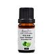 【 ANDZEN 】單方純精油10ml-萊姆 天然 草本 product thumbnail 2