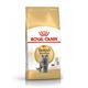 ROYAL CANIN法國皇家-英國短毛成貓專用飼料 BS34 4KG product thumbnail 2