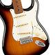 『FENDER』Player 系列限量琴款電吉他 Stratocaster Roasted Maple / 公司貨保固 product thumbnail 4