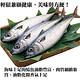 【海陸管家】挪威整尾薄鹽青鮐魚(鯖魚)5尾(每尾約300g) product thumbnail 2