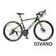 DIVANO D800V 鋁合金碟煞彎把24速公路車 product thumbnail 4