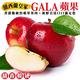 【天天果園】紐西蘭皇家級GALA蘋果9kg(約60-65顆) product thumbnail 3