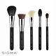 Sigma 經典臉部刷具5件組 Classic Face Brush Set product thumbnail 4