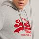 SUPERDRY 男裝 長袖帽T VL CHENILLE HOOD 灰 product thumbnail 6