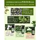 法國NAJEL茉莉花阿勒坡古皂洗髮露300ml product thumbnail 4