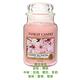 YANKEE CANDLE 香氛蠟燭623g (多款可選)-快速到貨 product thumbnail 15