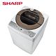SHARP夏普12公斤無孔槽變頻洗衣機 ES-ASF12T product thumbnail 2