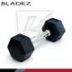 【BLADEZ】六角包膠啞鈴-4KG(二入組) product thumbnail 3