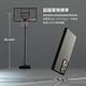犀牛盾Samsung Note20系列 SolidSuit 碳纖維防摔背蓋手機殼 product thumbnail 4