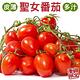 【果農直配】嚴選台灣溫室聖女番茄4盒(每盒約600g) product thumbnail 2