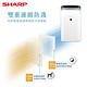 SHARP 夏普 16公升 自動除菌離子 衣物乾燥抗黴除濕機 DW-P16HT-G 湖水綠 product thumbnail 7
